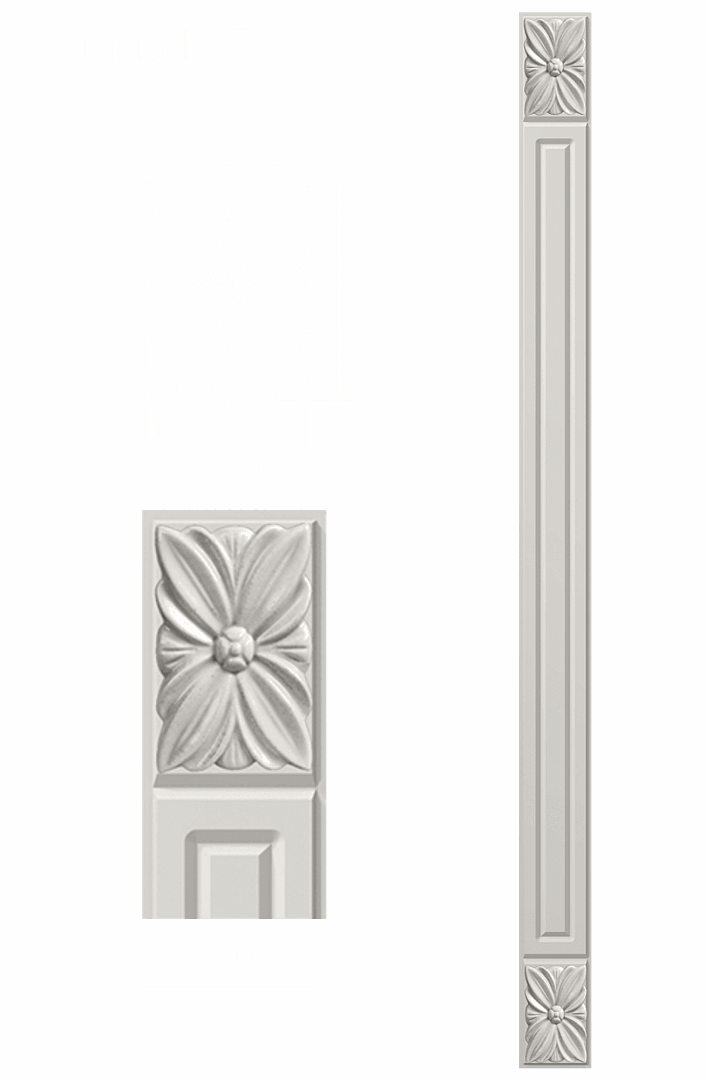 №5